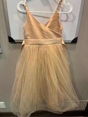Girls' Sleeveless Champagne Tulle Dress